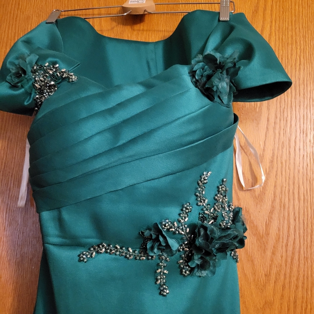 Terani emerald Green gown, size 12